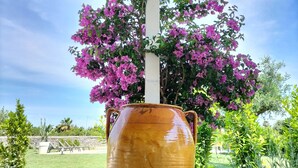 Una maceta de cerámica grande y rústica con un único poste blanco que sostiene una planta con flores.