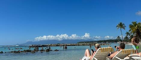 在海灘附近、躺椅