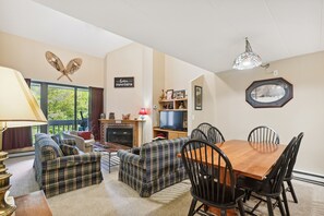 TV, fireplace, DVD player