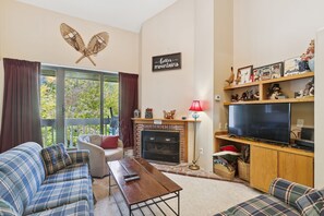 TV, fireplace, DVD player