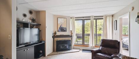 TV, fireplace, DVD player