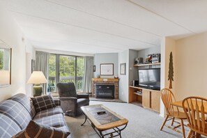 TV, fireplace, DVD player
