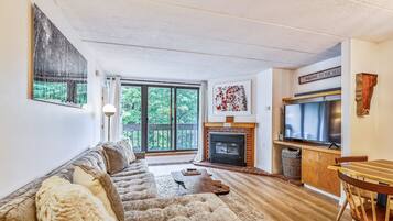 TV, fireplace, DVD player