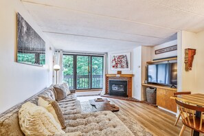 TV, fireplace, DVD player