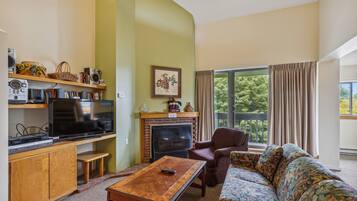 TV, fireplace, DVD player
