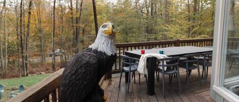 Une terrasse en bois avec une table et des chaises, donnant sur une zone boisée.