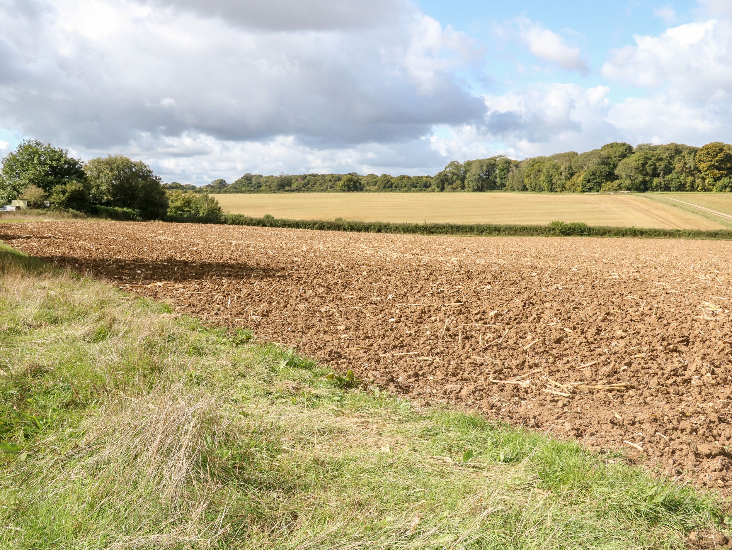 A vast, open field with a clear sky and distant trees.