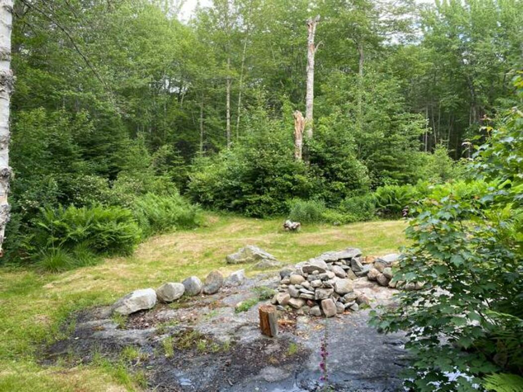 A forested area with a stone pathway leading through dense greenery.