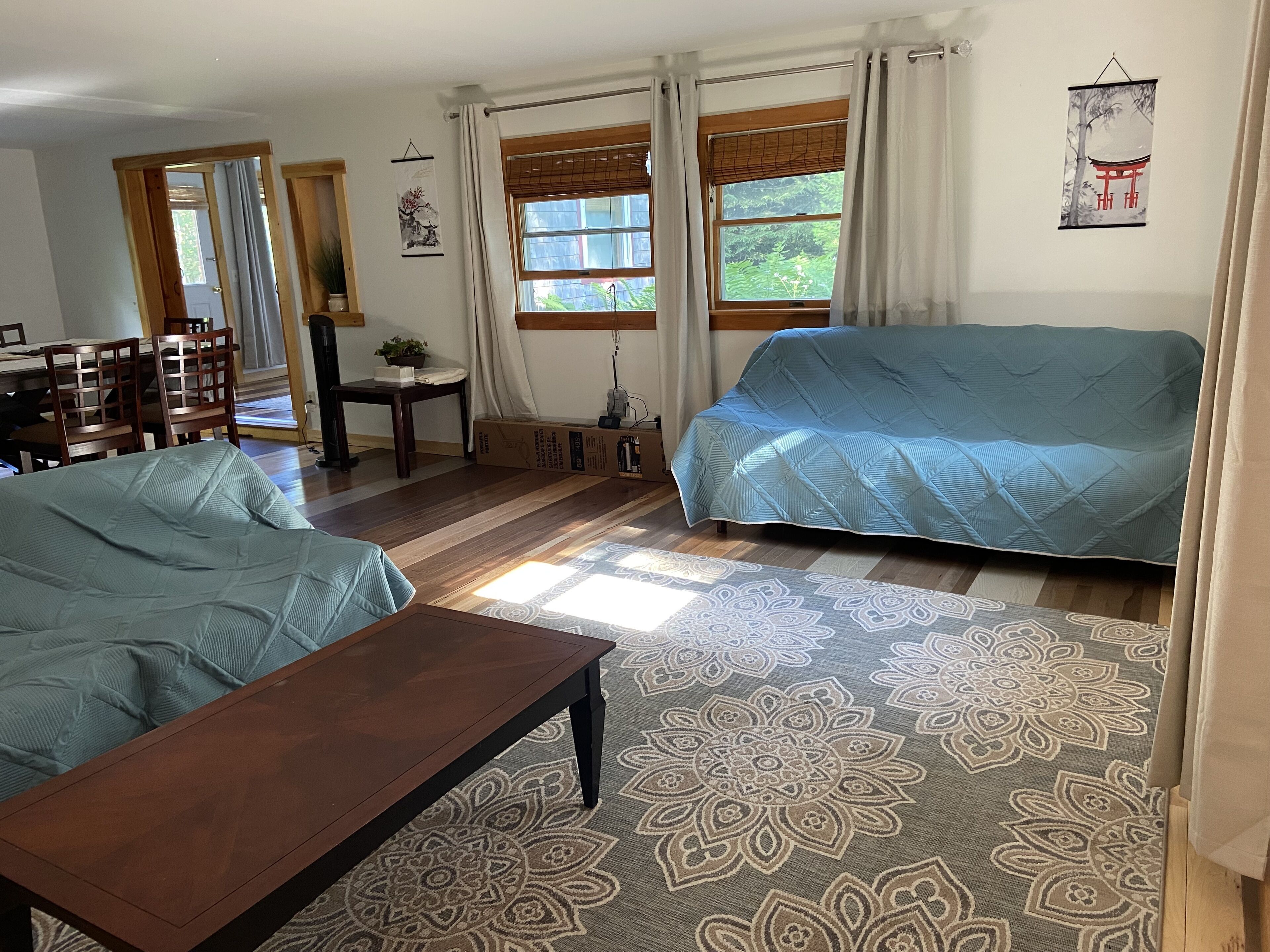 Smart TV, fireplace, video library