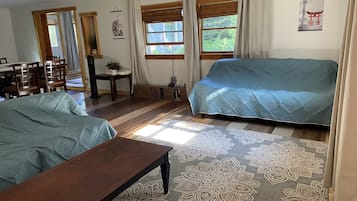 Smart TV, fireplace, video library