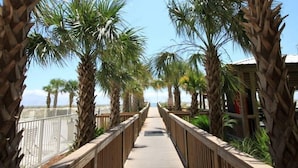A wooden boardwalk flanked by palm trees leading to a beach. - Gulf Front Luxury-Extra Large Balcony-Regency Isle 907-Signature Properties (Orange Beach)