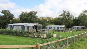A row of mobile homes with a grassy yard and a wooden fence.