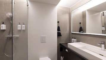 A modern bathroom with a shower, toilet, and a large mirror.