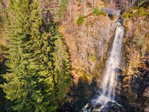 Una cascada rodeada de árboles siempreverdes frondosos.