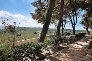 A stone pathway leading to a terrace with a view of a hilly landscape.