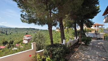 Terrain de l’hébergement