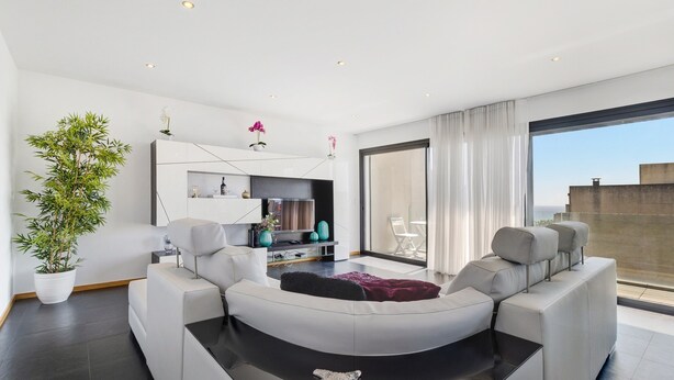 Un salon moderne avec un canapé aux lignes courbes, un téléviseur à écran plat, une plante en pot et une grande fenêtre offrant une belle vue.