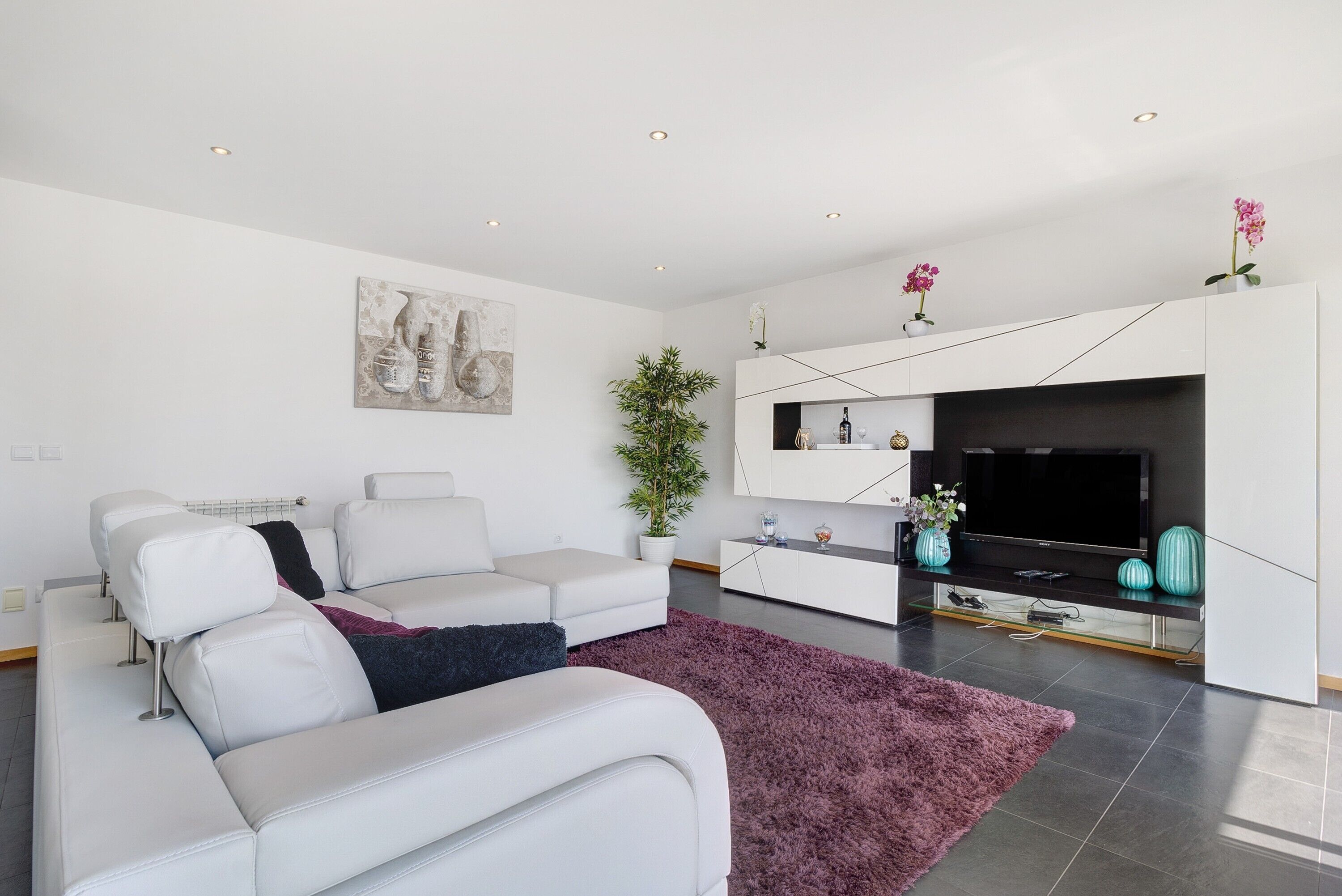 A modern living room with a white sofa, a flat-screen TV, a potted plant, and a decorative wall piece.