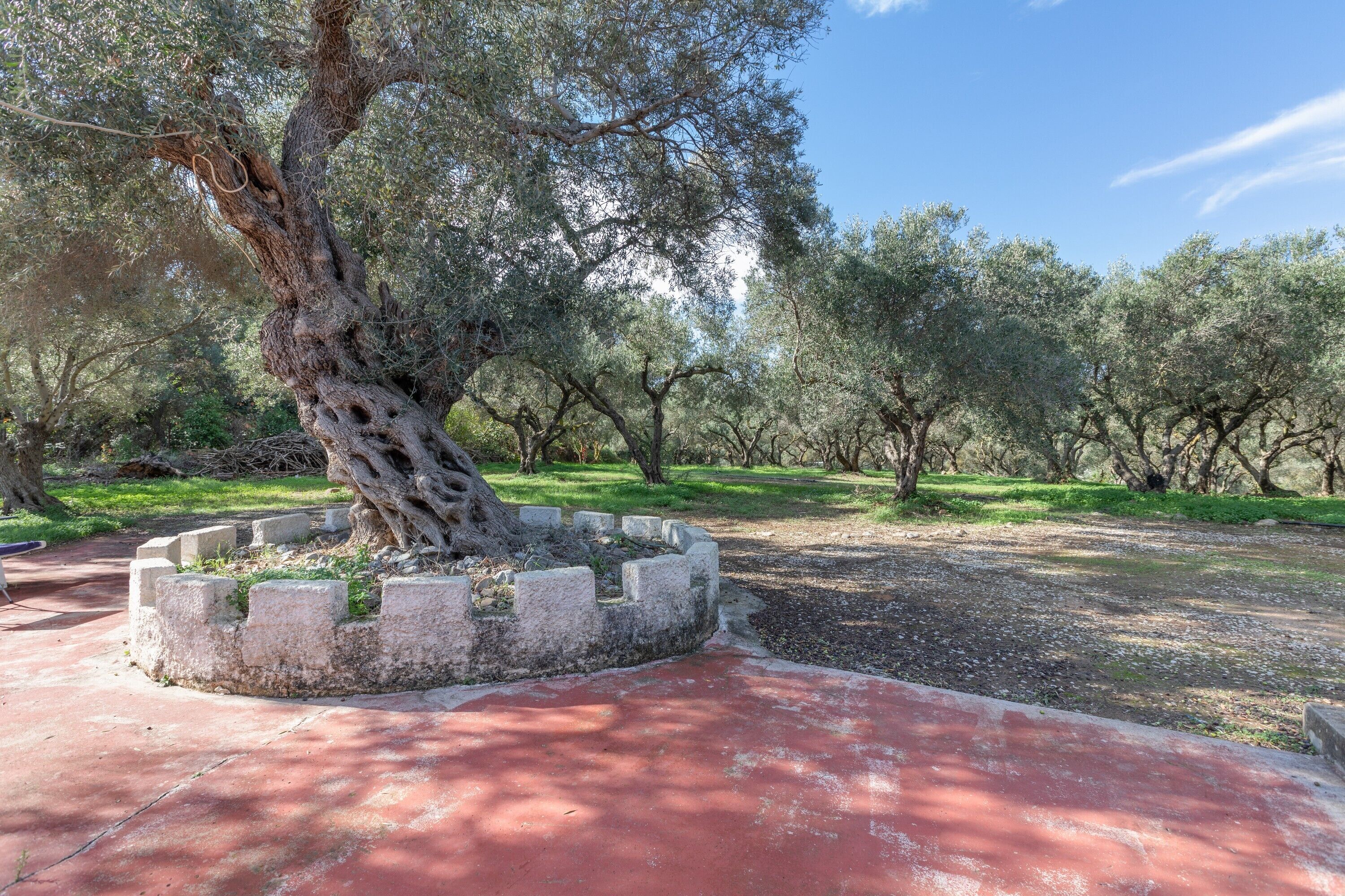 Área da propriedade