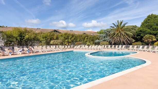 A swimming pool with lounge chairs and a palm tree. - Apartment "Bisbau" with Private Terrace, Private Garden & Shared Pools (Moliets-et-Maa)