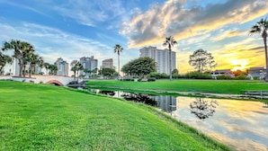 A park with a bridge, a pond, and tall buildings in the background.