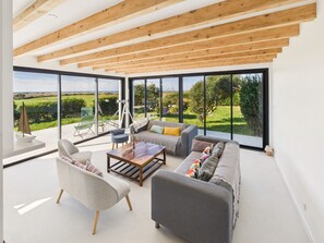 تلفزيون، مدفأة، مشغل دي في دي