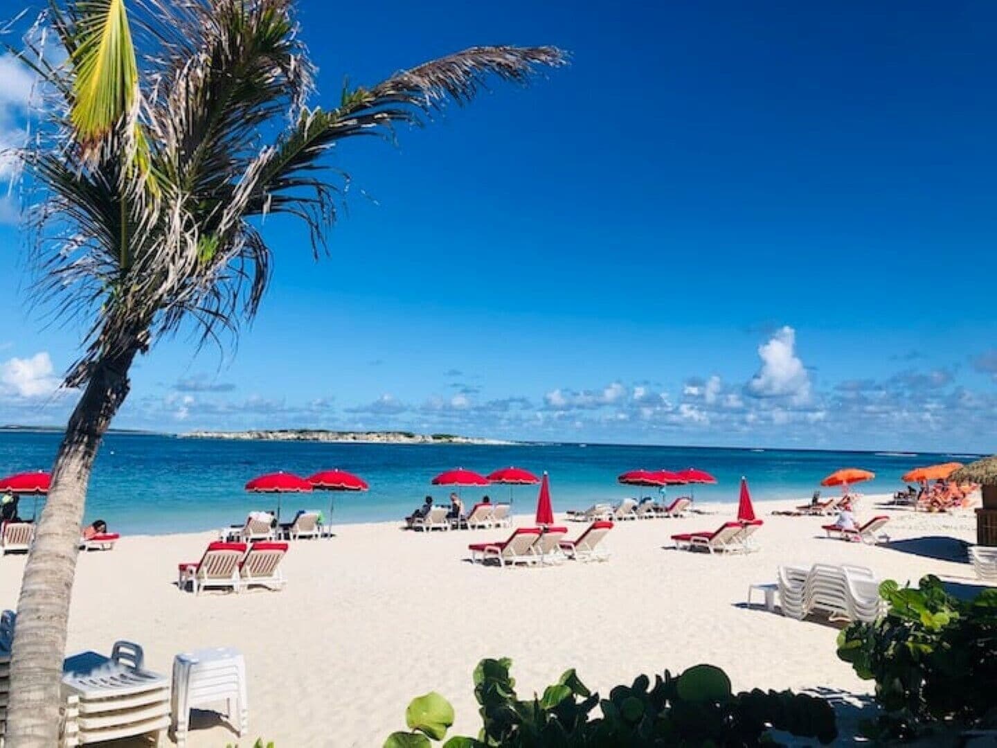 Una playa con sillas reclinables blancas y sombrillas rojas, palmeras y agua azul cristalina.
