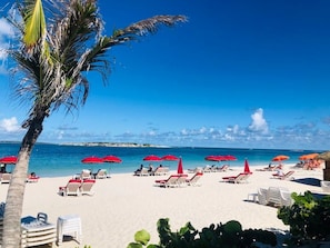 A beach with white lounge chairs and red umbrellas, palm trees, and clear blue water.
