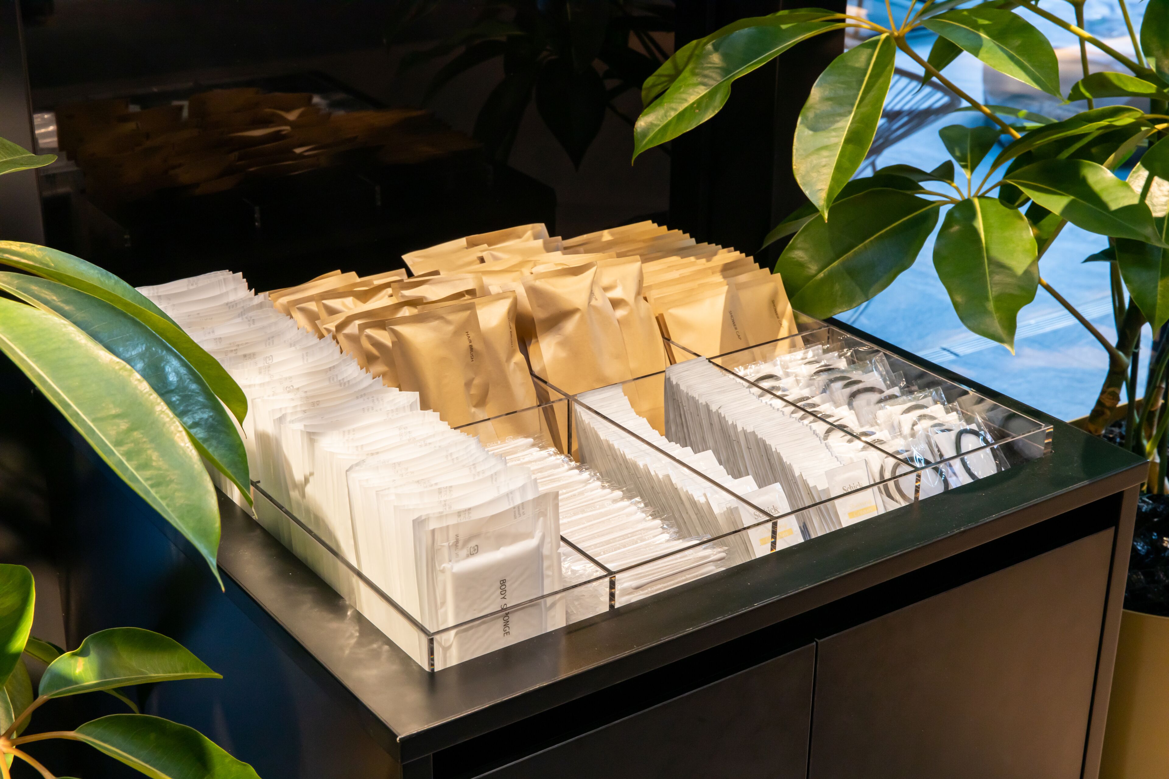 Un espace buffet où les plats sont présentés de manière soignée dans des plateaux, le tout étant agrémenté de plantes vertes.