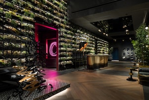 Un intérieur moderne agrémenté d’un mur végétal vertical, d’une entrée illuminée par des néons et d’un espace bar.