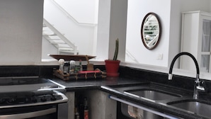 A kitchen with a stove, sink, and a potted plant. - COBERTURA DUPLEX COM TERRAÇO EM IPANEMA (Rio de Janeiro)