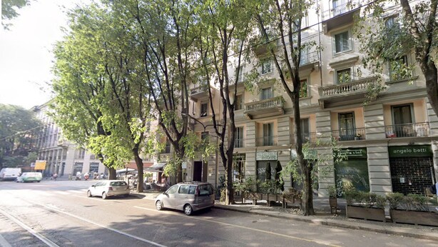 Une vue de rue avec des voitures garées, des arbres bordant le trottoir et des immeubles avec des devantures de magasins.