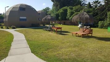 Télévision à écran plat de 32 pouces avec chaßnes par cùble