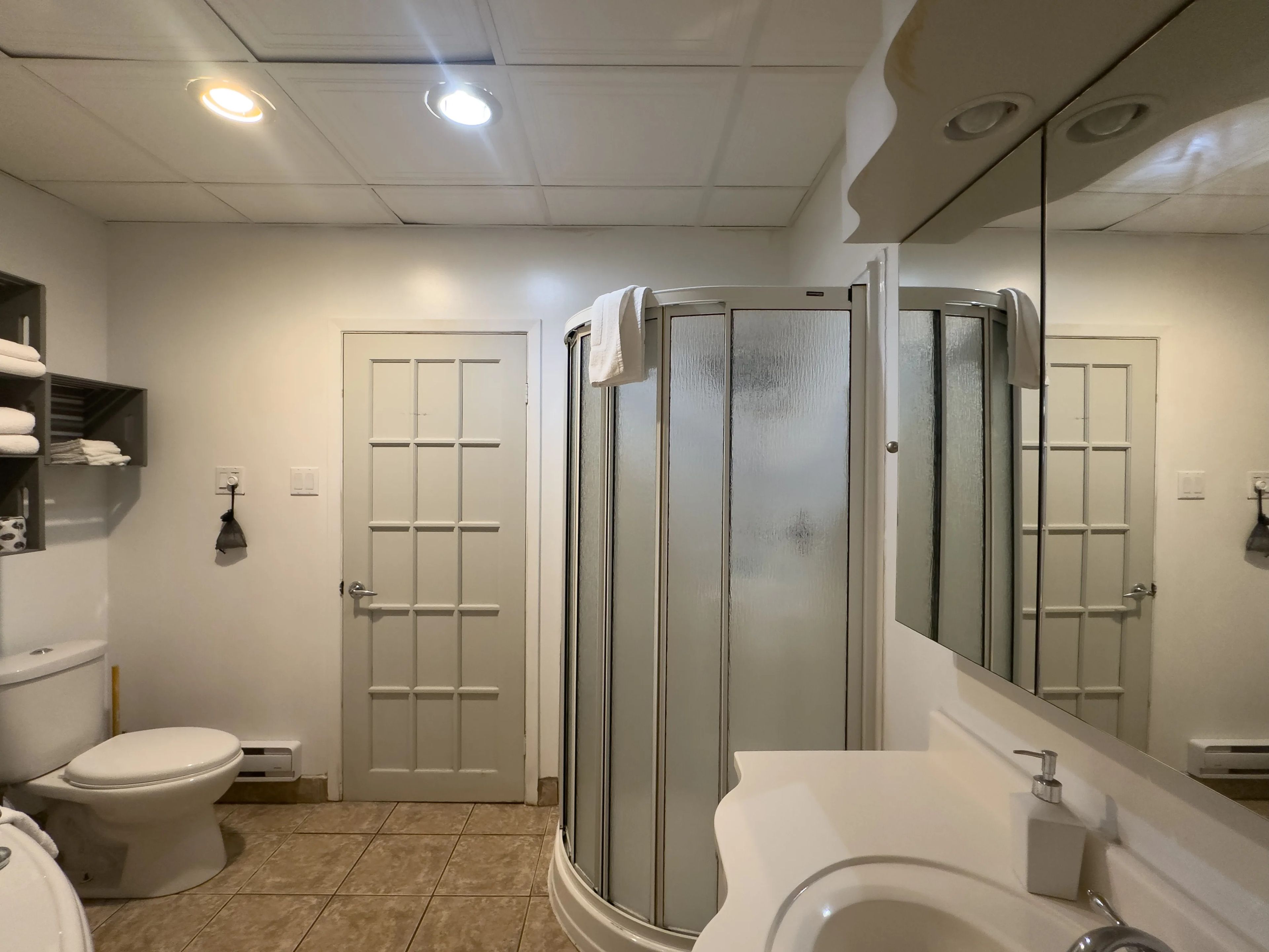 A bathroom with a toilet, a shower enclosure, and a sink with a mirror.