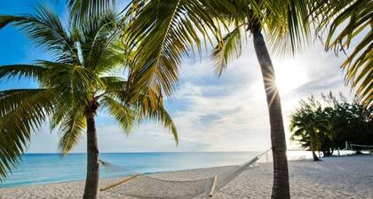 Lime Tree Villa. Entire Home and Private Pool.