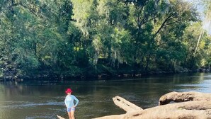 A person standing on a log in a river with a forest in the background.