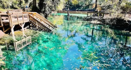 Peaceful cabin on the Cochee river w/ 4 acres land