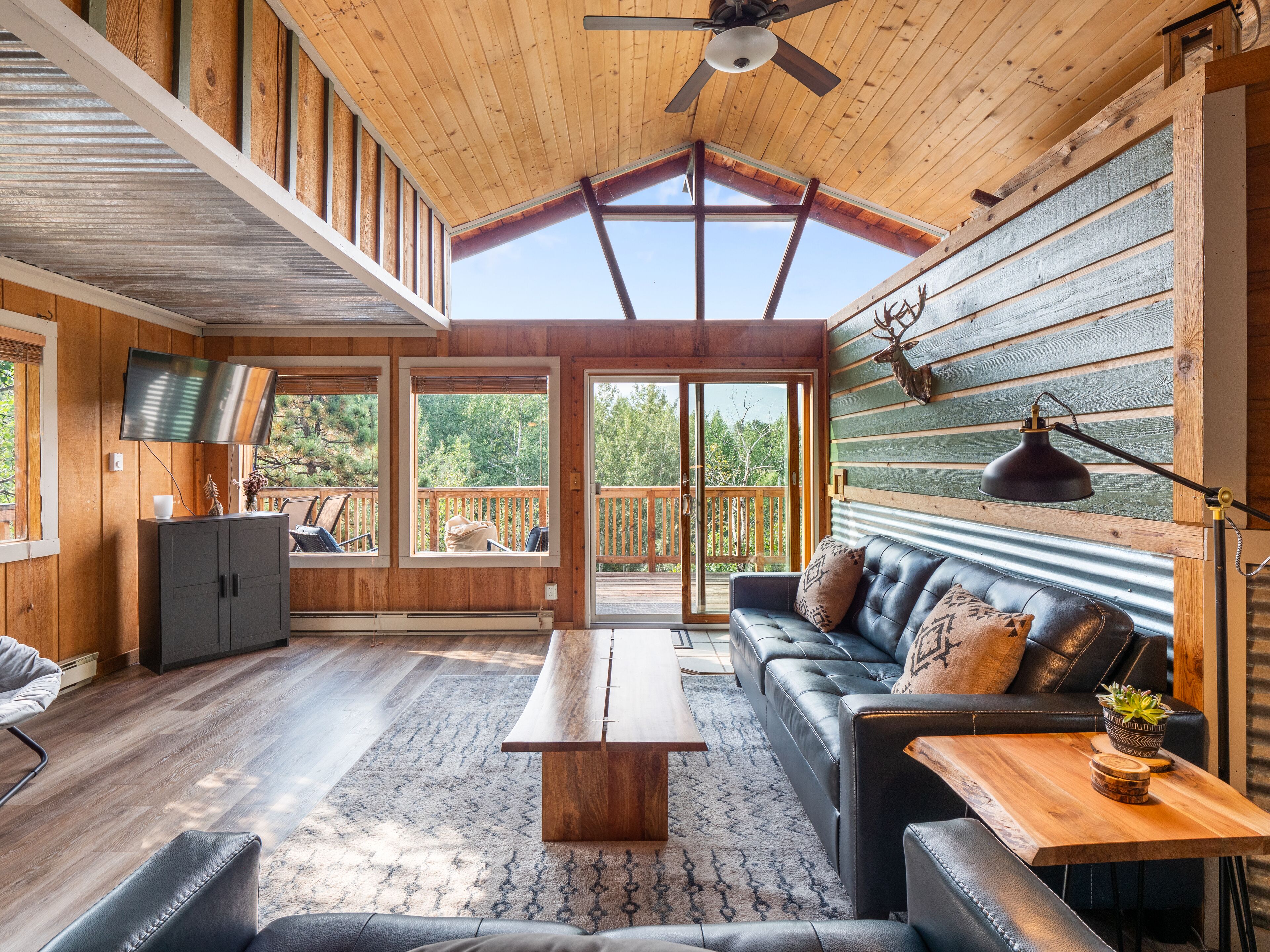 Smart TV, fireplace, DVD player, books