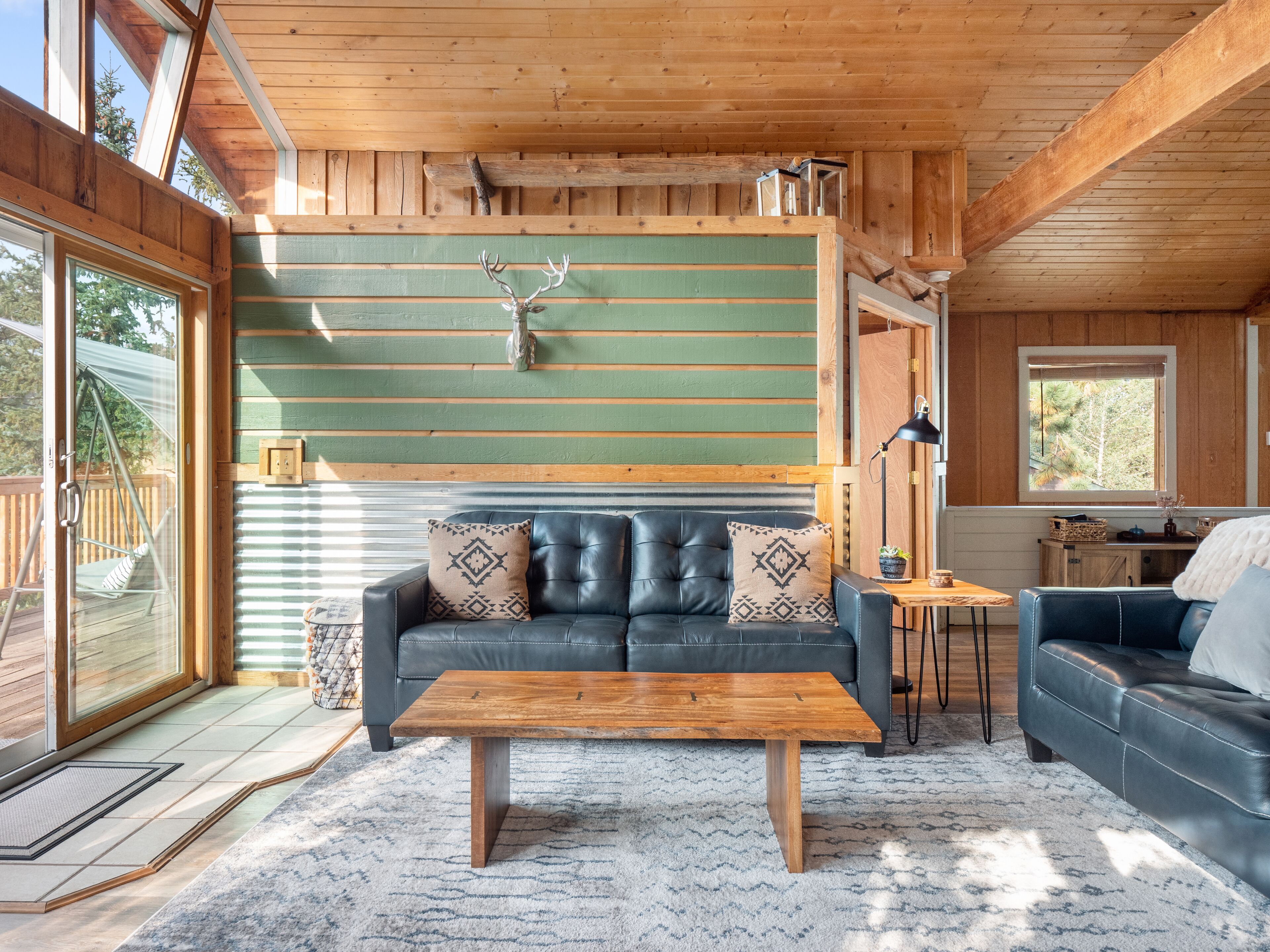 Smart TV, fireplace, DVD player, books