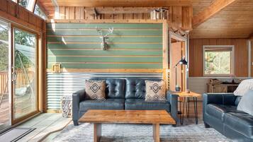 Smart TV, fireplace, DVD player, books