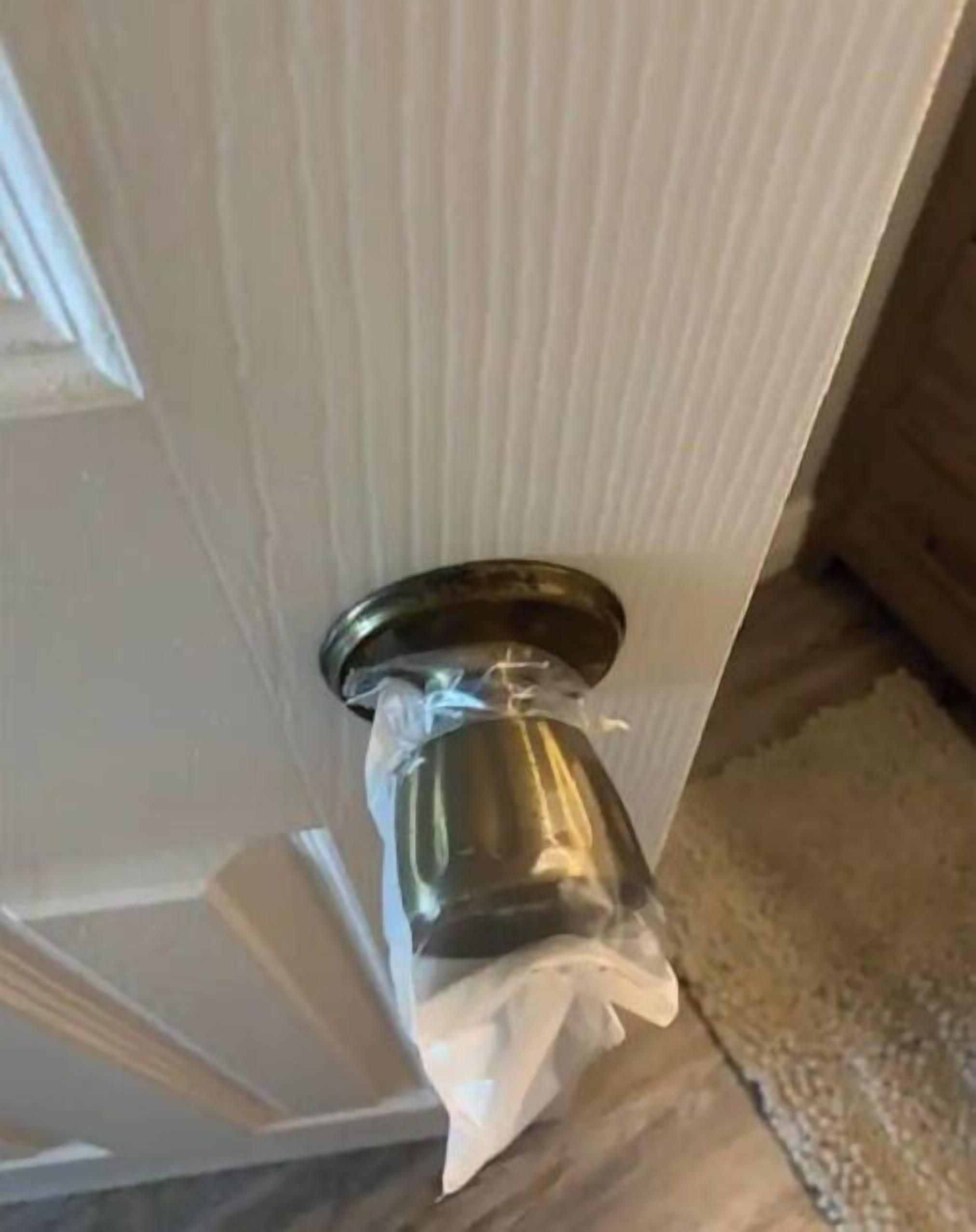 A door with a metallic handle and a plastic bag hanging on it.