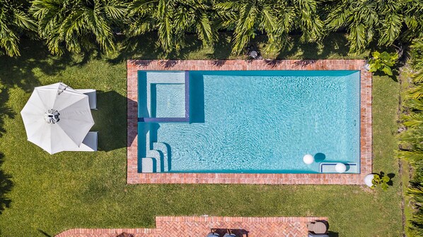 An aerial view of a rectangular swimming pool with a tiled deck, surrounded by grass and palm trees. - Charming home with pool (West Palm Beach)