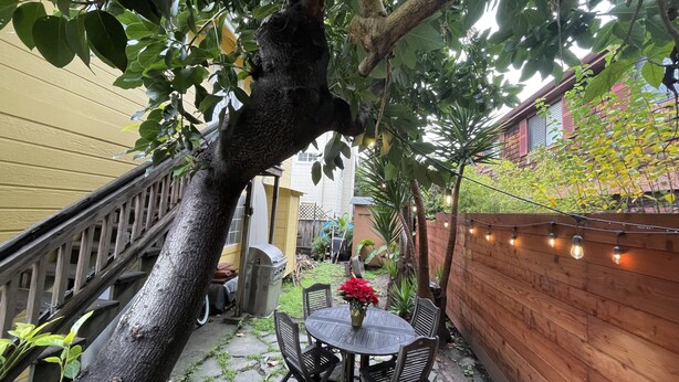 En terrasse med et træbord og stole, en potteplante og et lyssnor.