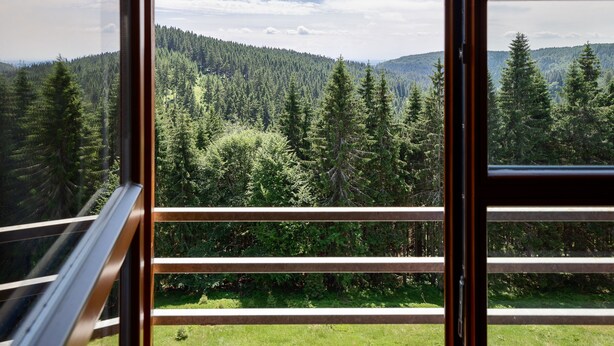 A view from a window with a wooden frame and horizontal blinds, overlooking a dense forest and distant mountains. - Cihlarka Mountain View Apartment (Cerny Dul)