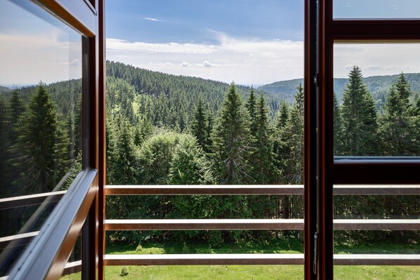 Apartment, Private Bathroom | View from property - Cihlarka Mountain View Apartment (Cerny Dul)