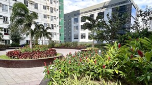A landscaped courtyard with a variety of plants, including a circular flower bed with red foliage and green plants with yellow stripes.