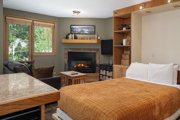 Un dormitorio con chimenea, cama, televisión y estantería.