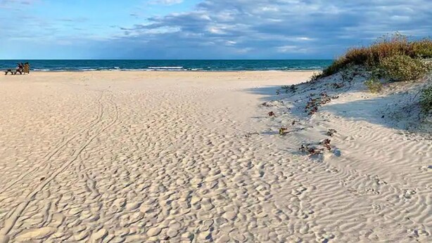 Une plage de sable avec des empreintes et une végétation clairsemée.