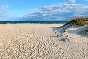 A sandy beach with footprints and sparse vegetation.