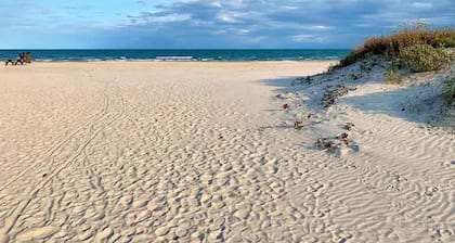 Padre Island Escape Pets OK 5 min to the beach! 2.4 m to whitecap beach!